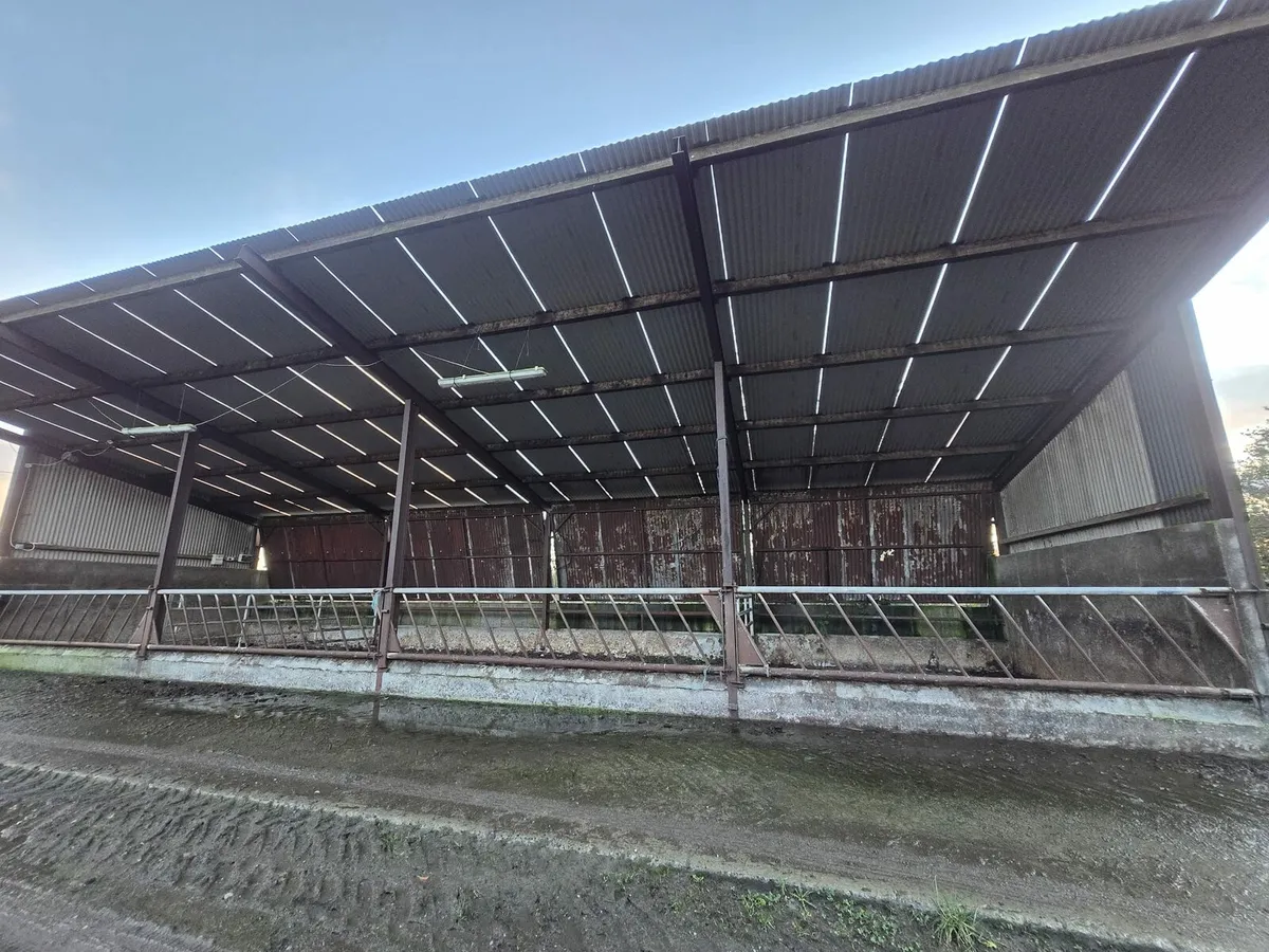 Slatted shed and feed - Image 2