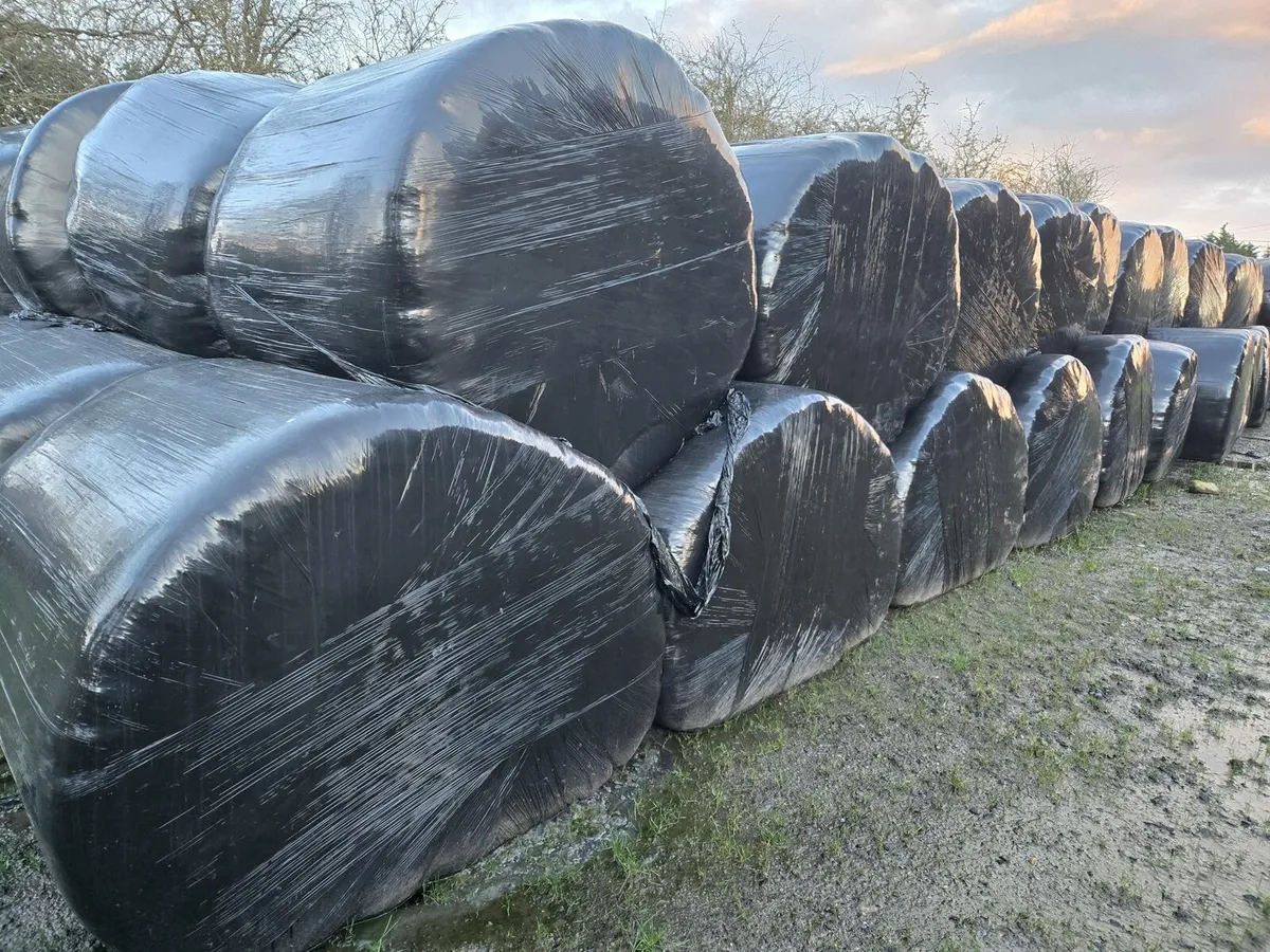 Slatted shed and feed - Image 3