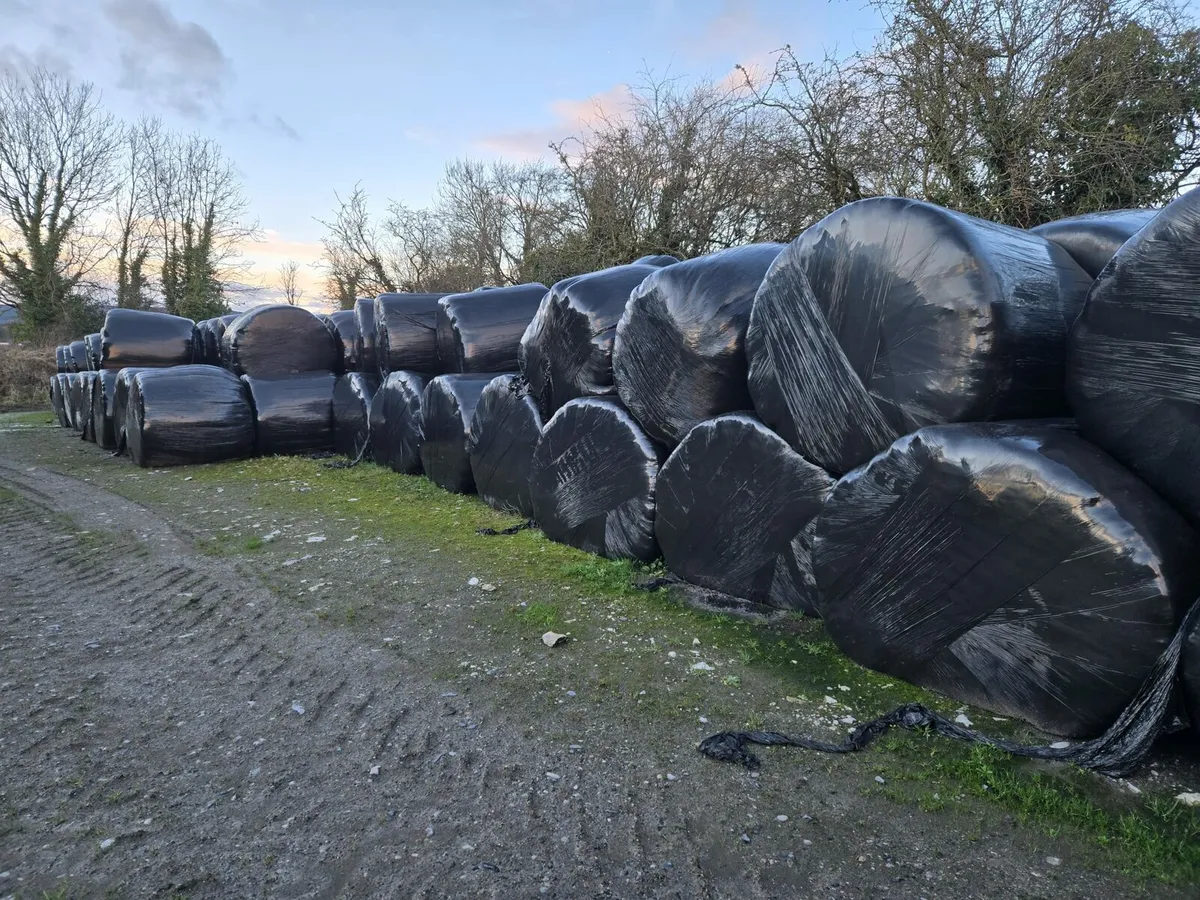 Slatted shed and feed - Image 4