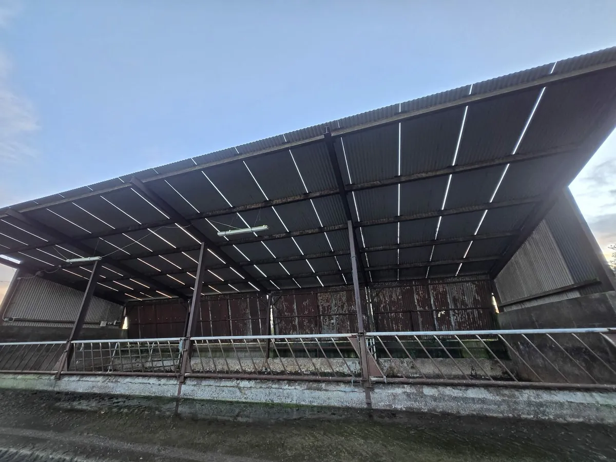 Slatted shed and feed - Image 1