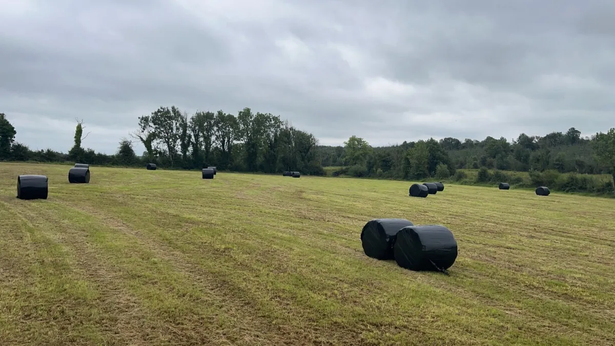 Hay & silage For Sale - Image 2