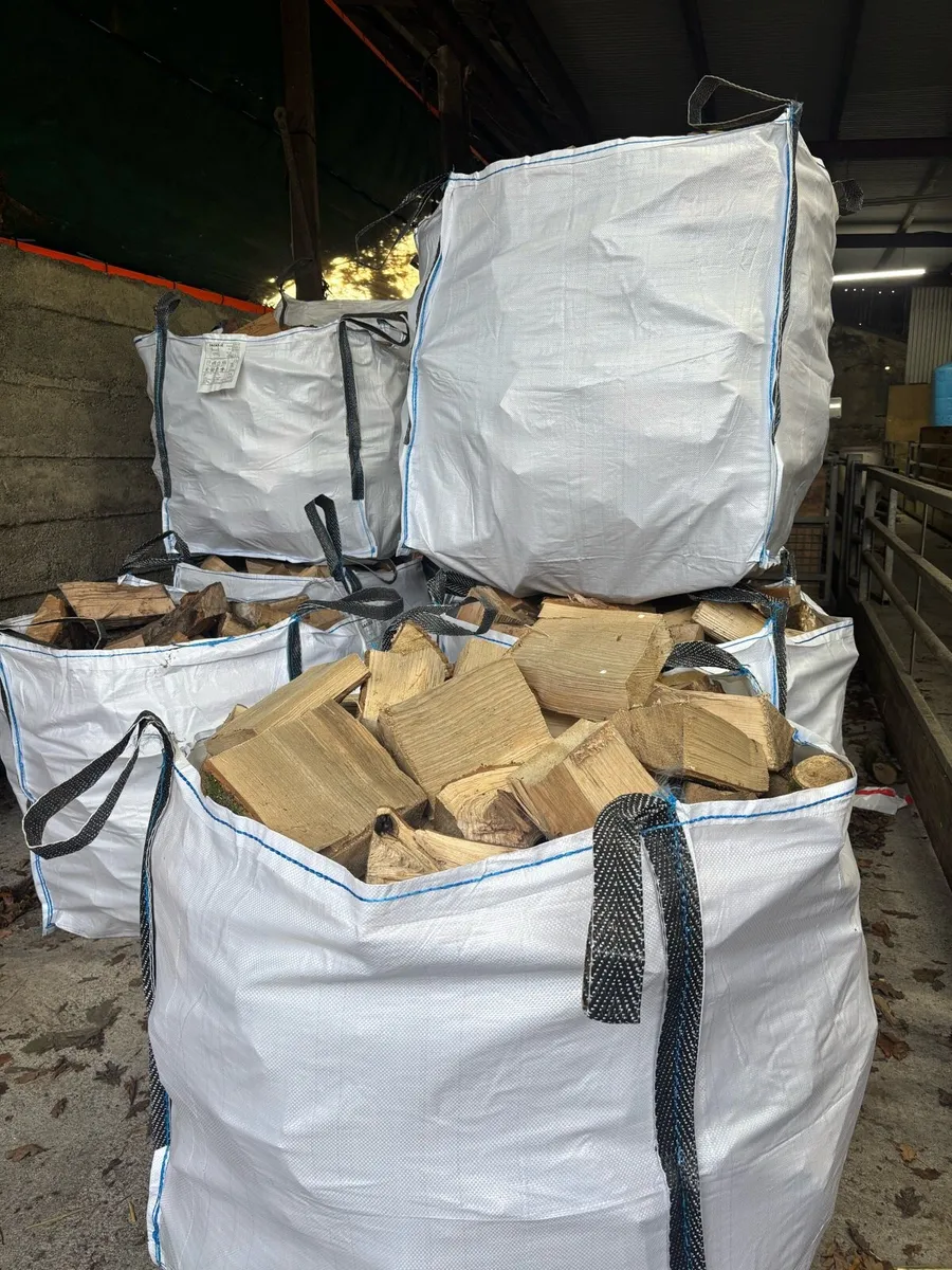 Firewood - Image 4