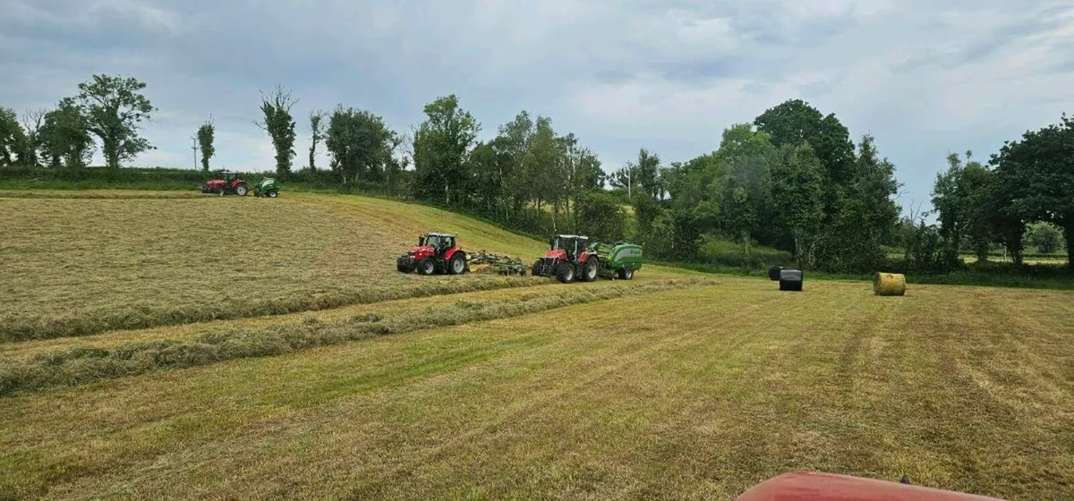 Round bales silage