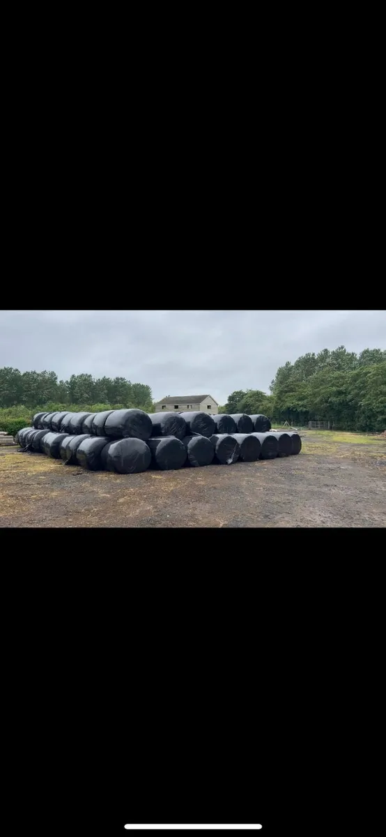 ‼️140 round bales 1st cut silage for sale ‼️ - Image 2