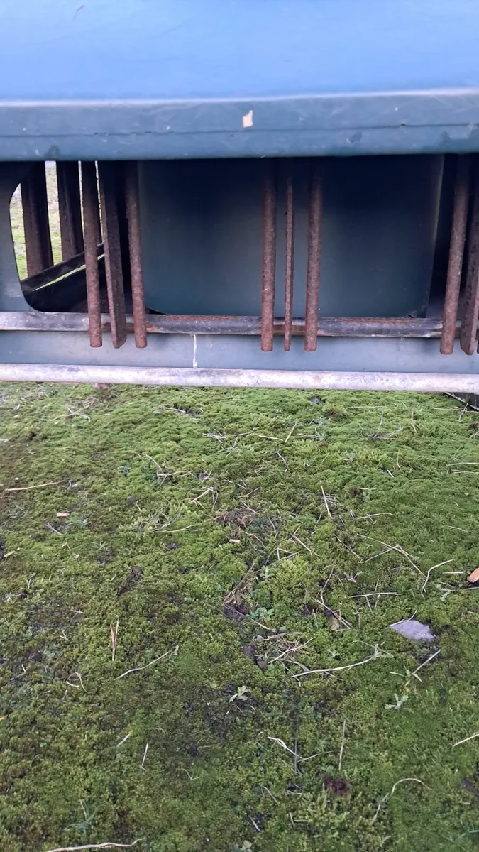 Lamb creep feeders - Image 4