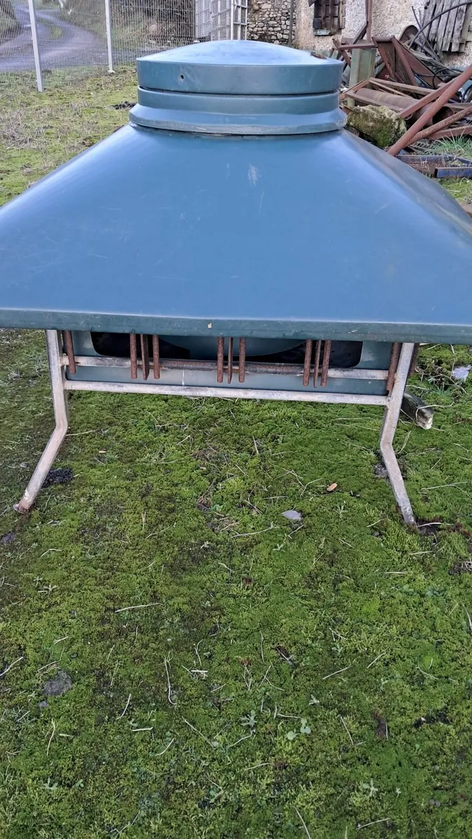 Lamb creep feeders - Image 2