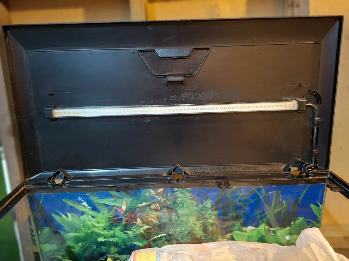 Fish Tank - Image 1