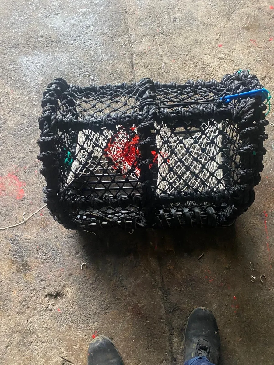 200 New 22” Lobster/Crab Pots - Image 1