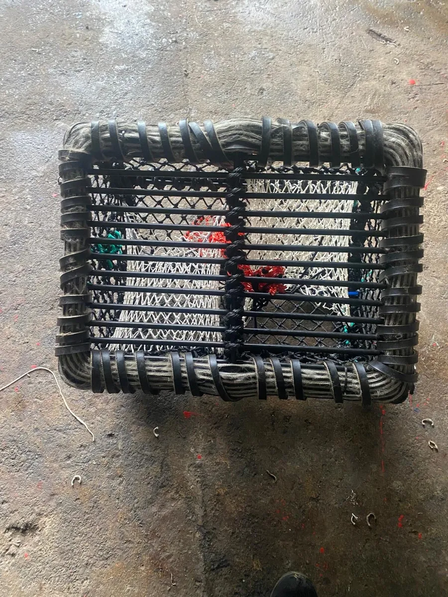 200 New 22” Lobster/Crab Pots - Image 3