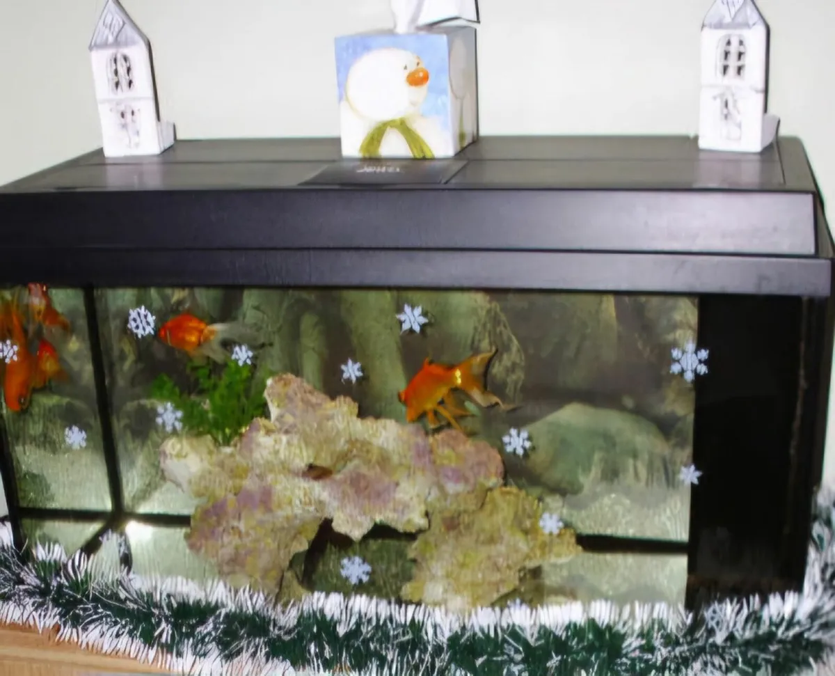 JUWEL large Fish Tank - Image 3