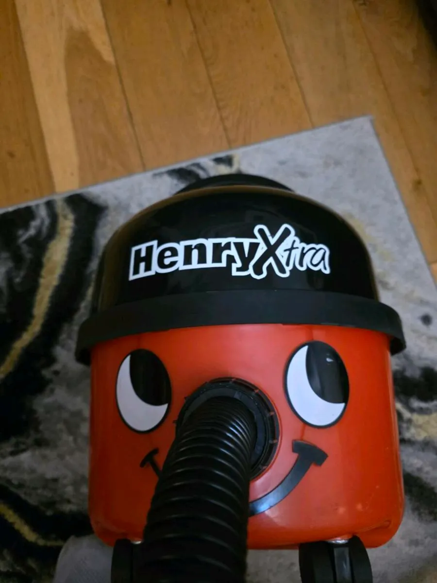 Henry Stratton hiver - Image 1