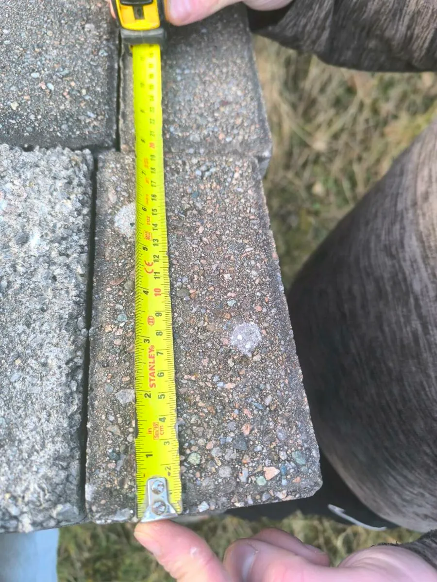 Paving bricks - Image 1