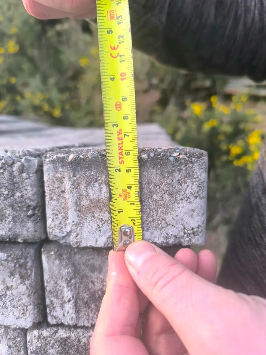 Paving bricks - Image 3