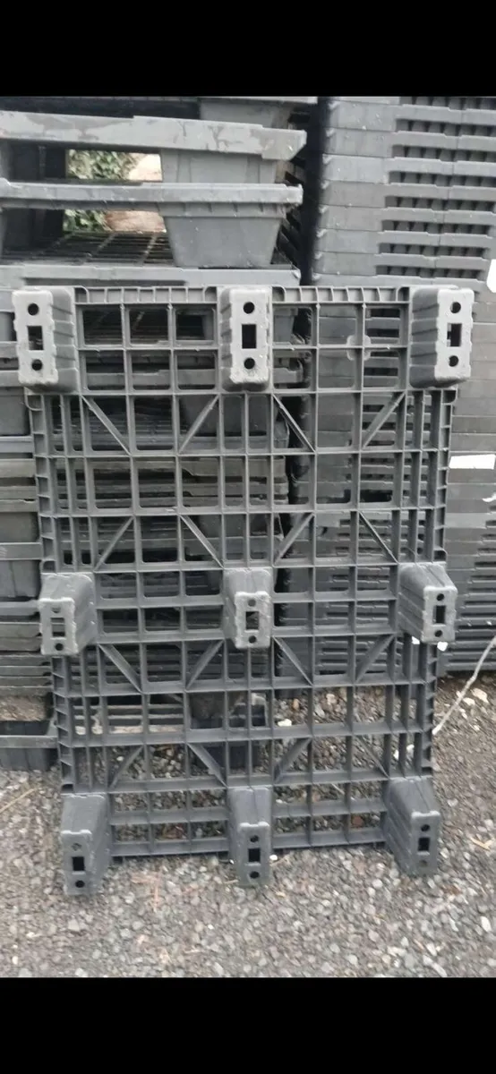 150 plastic pallets 
All in good condition - Image 3