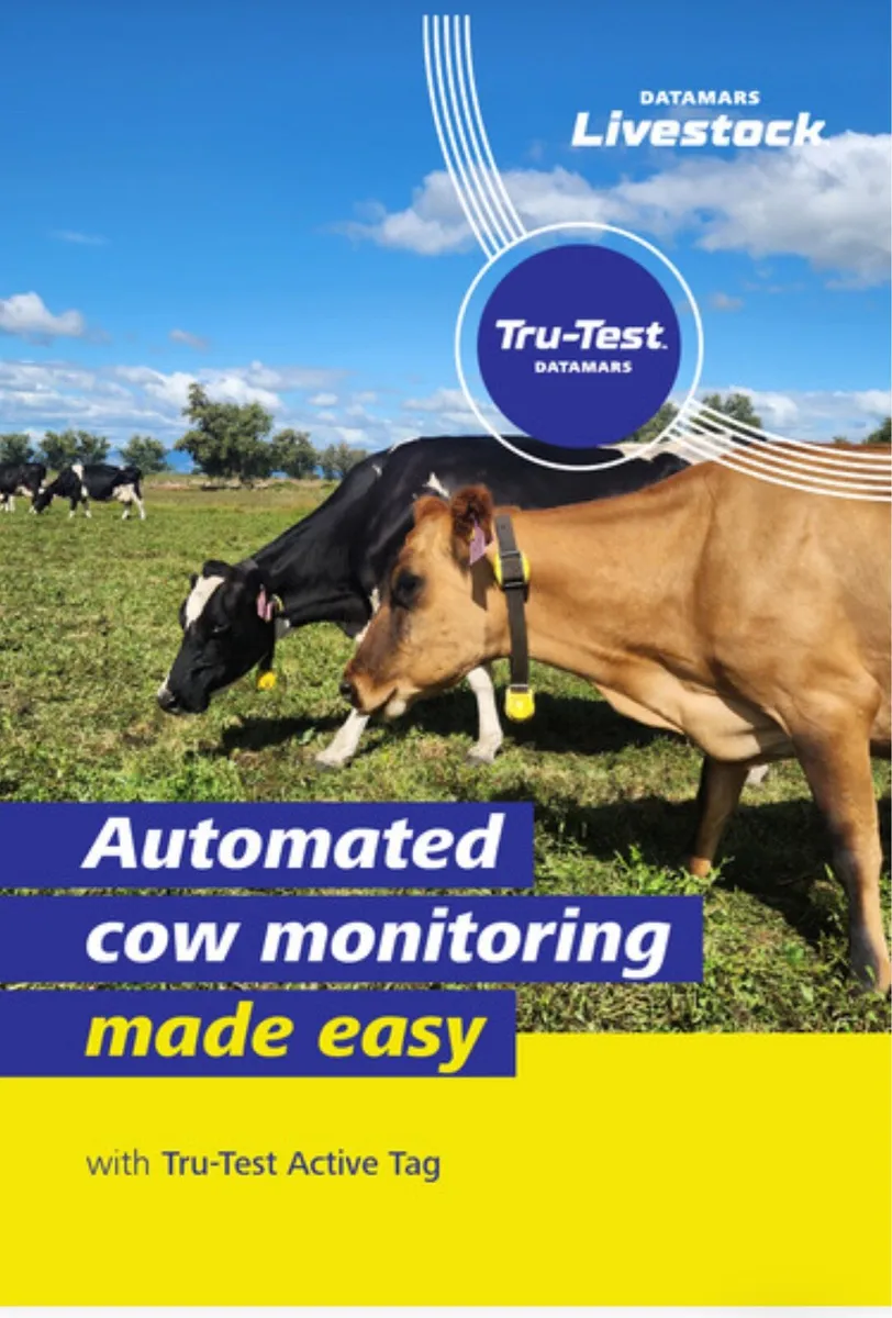 Heat & Health alerts - Image 1