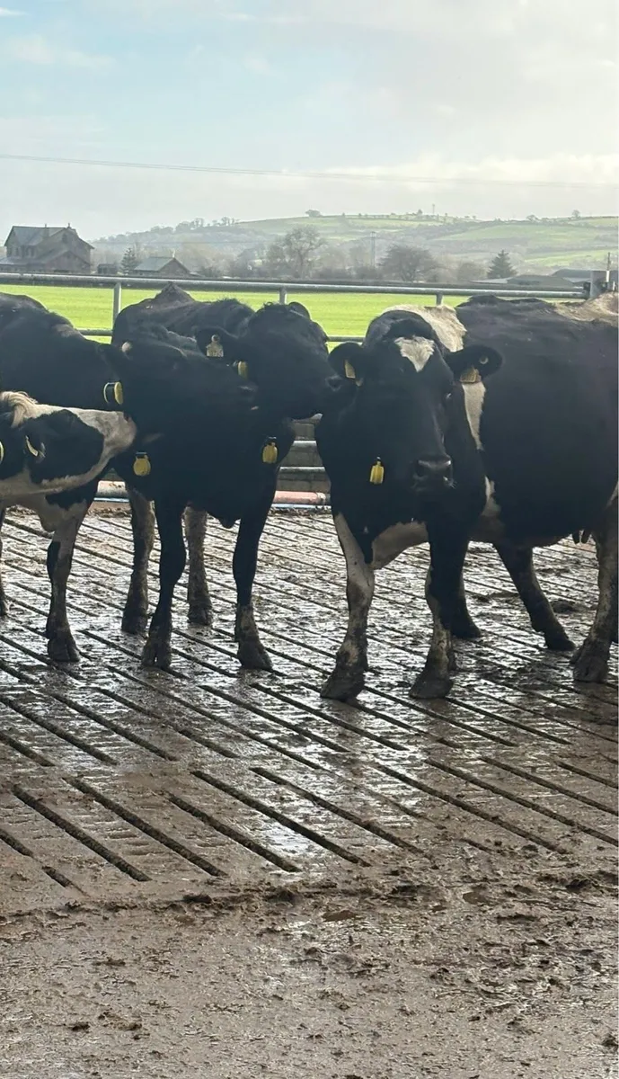 Heat & Health alerts - Image 2