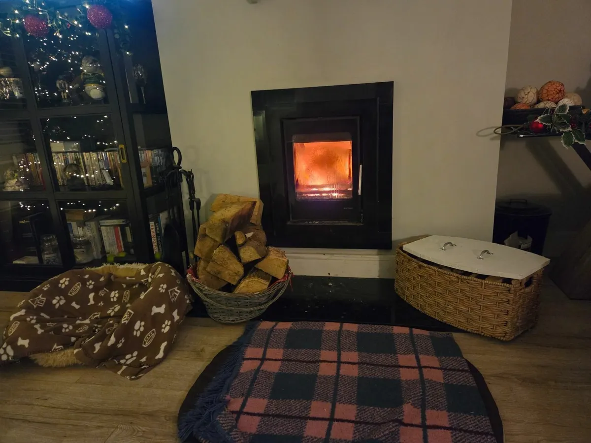 Large Bags of Kindling Sticks - Image 1