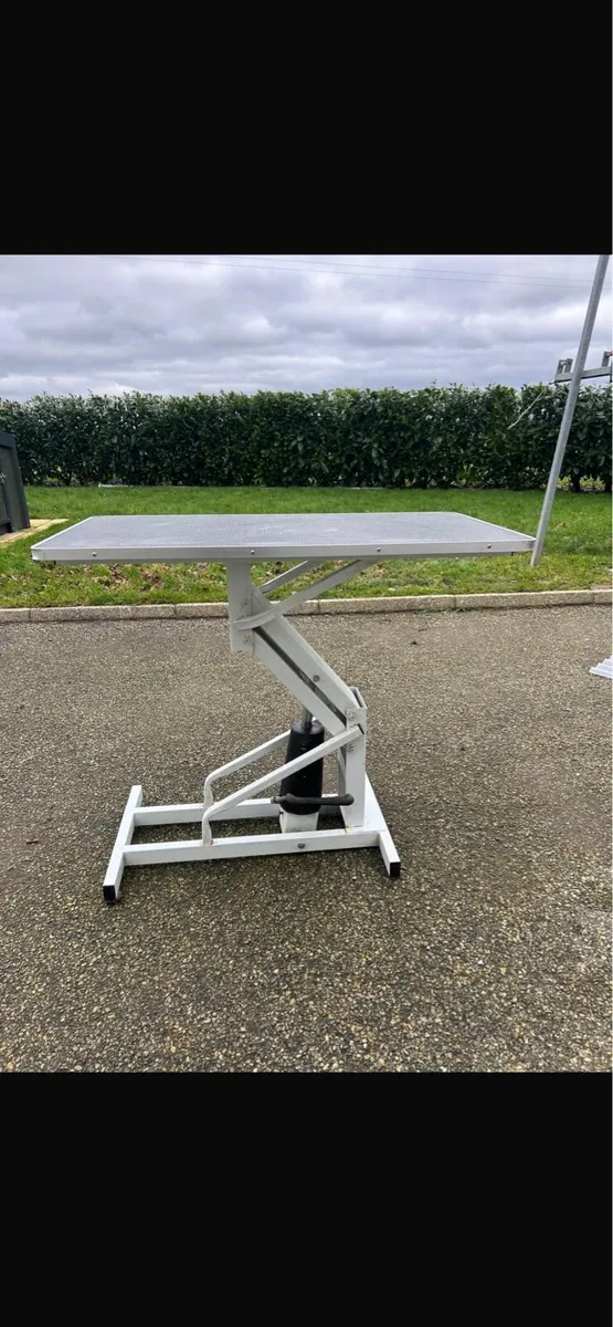 Dog grooming table - Image 1