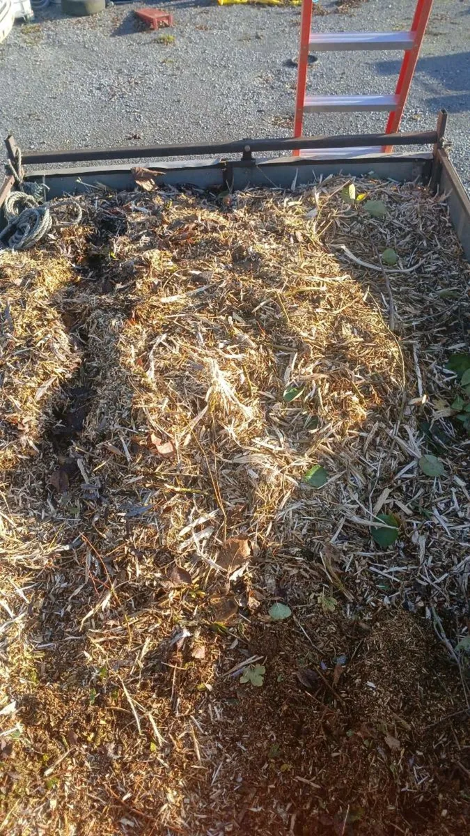 Wood chippings for sale - Image 1