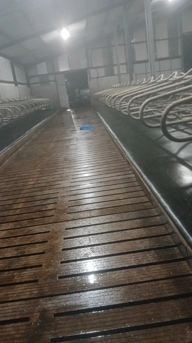 Power washing services - Image 3