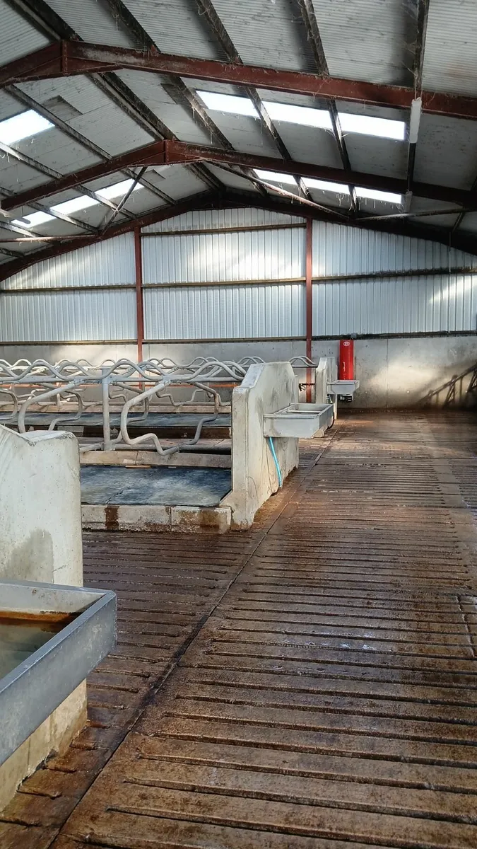 Power washing services - Image 1