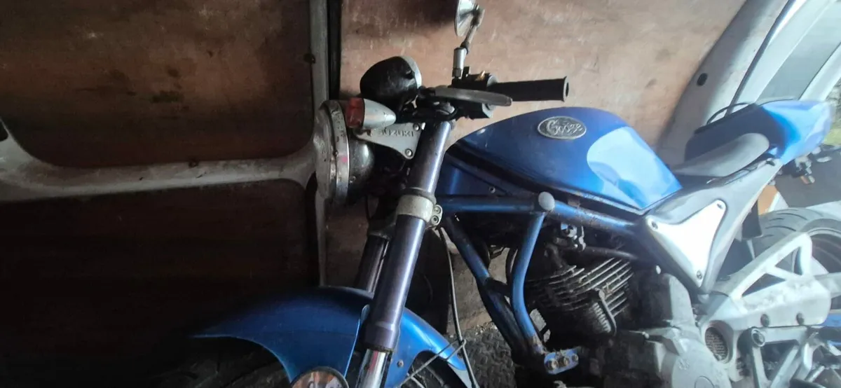 1992 Suzuki Goose 350cc (VERY RARE) - Image 3