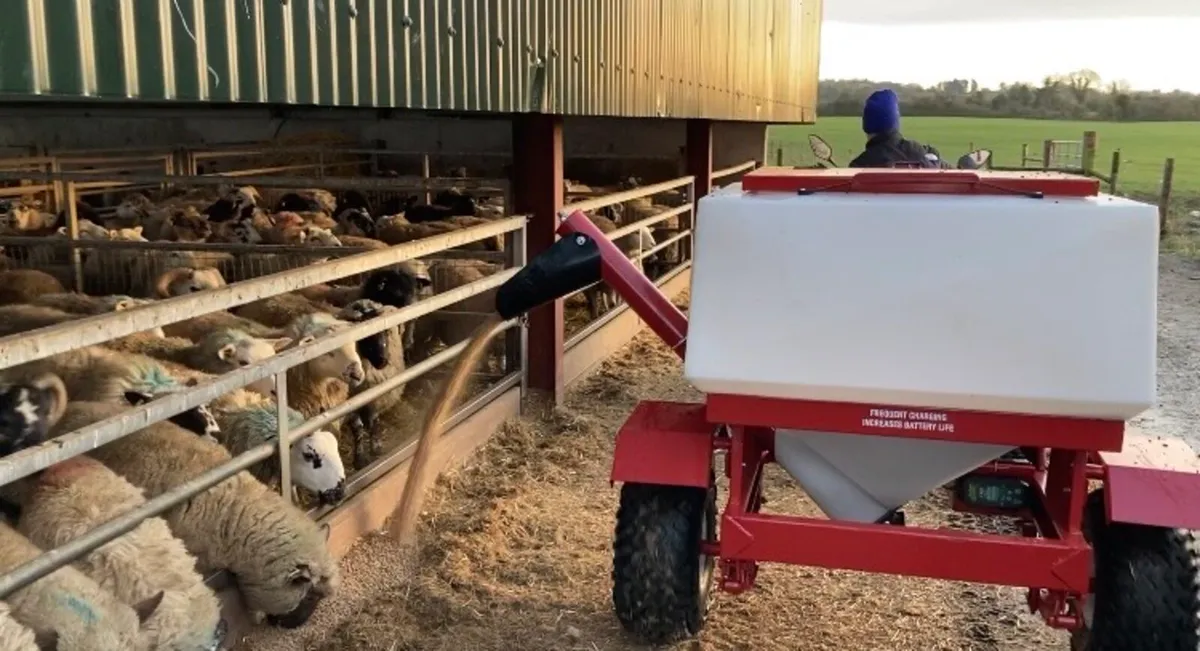 Sheep meal feeder - Image 1