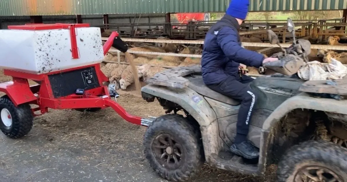 Sheep meal feeder - Image 3