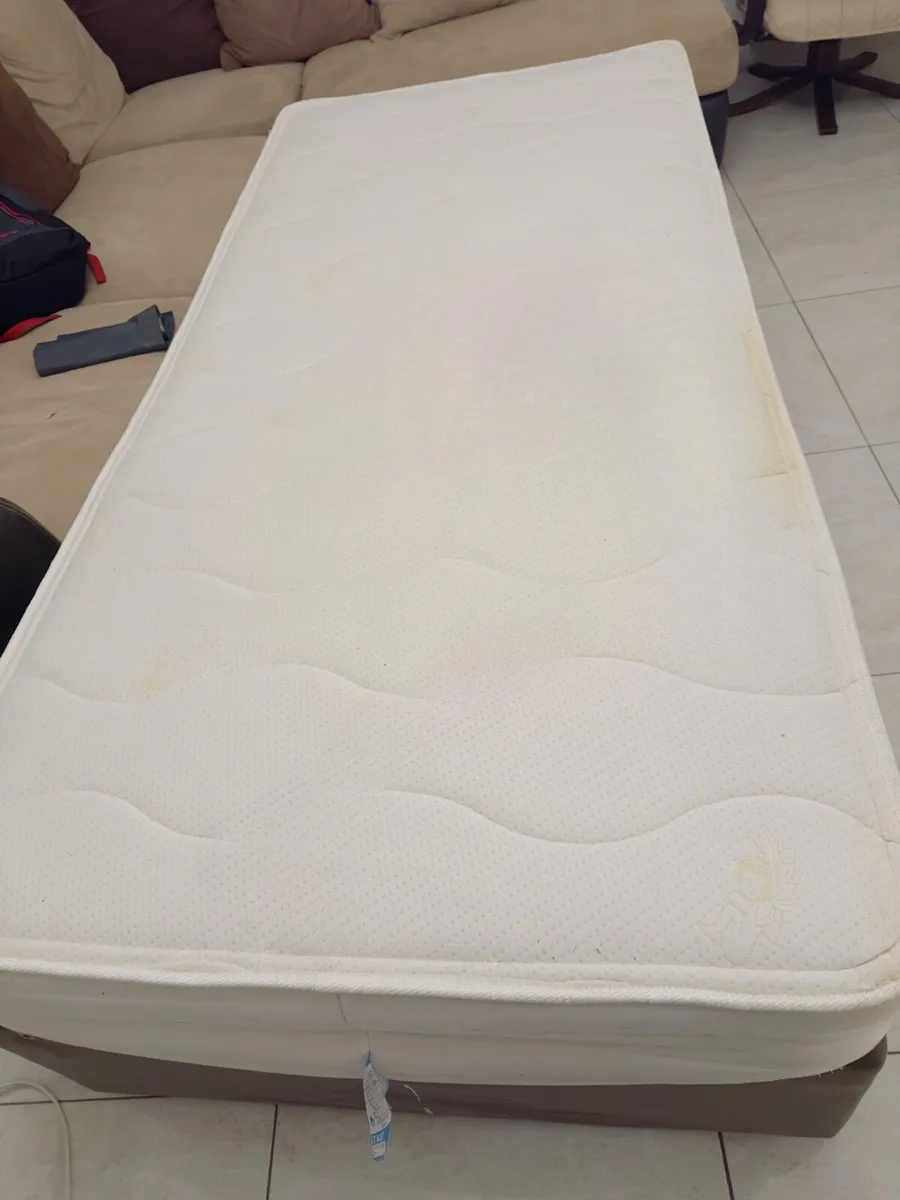 Single Bed -Free to collect - Image 2