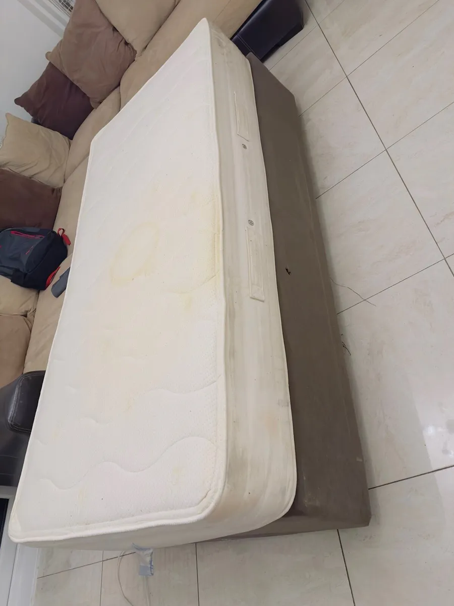 Single Bed -Free to collect - Image 3