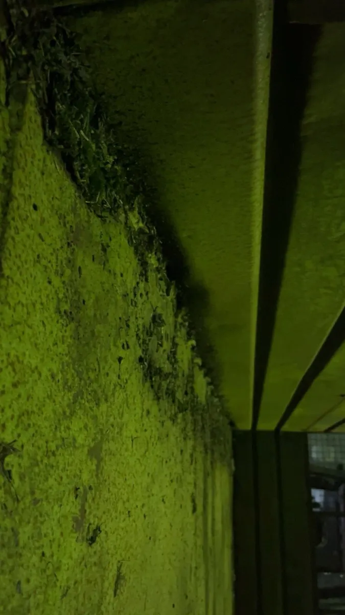 Kane trailer - Image 4