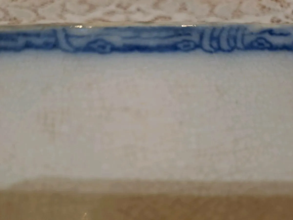 1870s Extra Large Victorian serving platter - Image 4