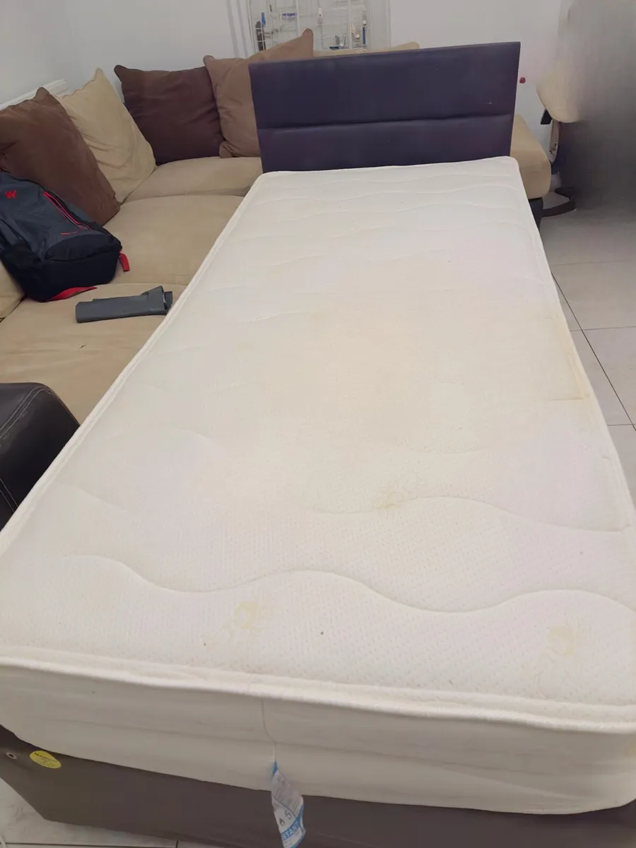Single Bed -Free to collect - Image 1