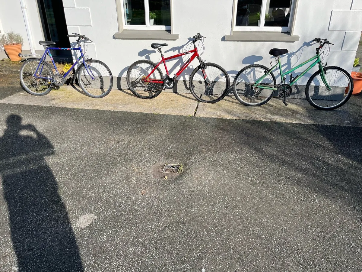 3 Bikes for Sale - Image 1
