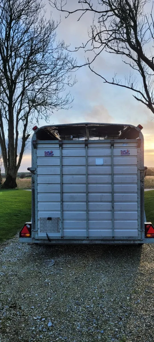 Tuffmac 14 x 6 livestock trailer - Image 2