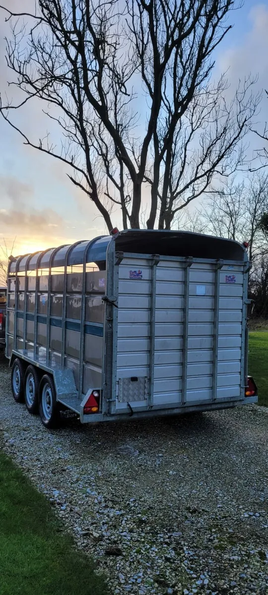 Tuffmac 14 x 6 livestock trailer - Image 3
