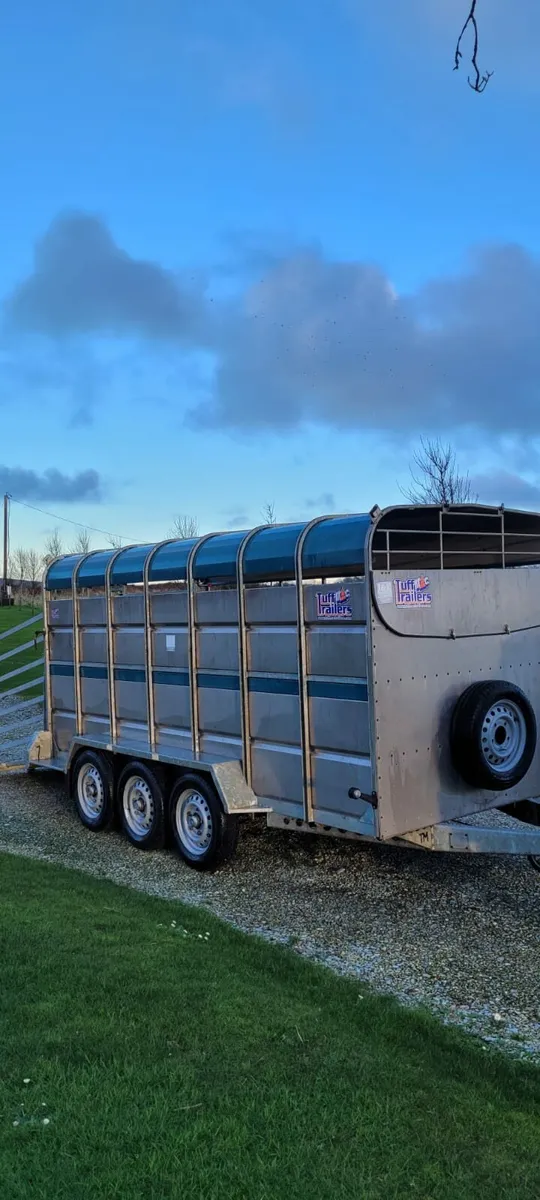 Tuffmac 14 x 6 livestock trailer - Image 1