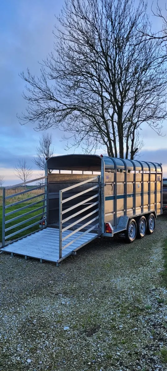 Tuffmac 14 x 6 livestock trailer - Image 4