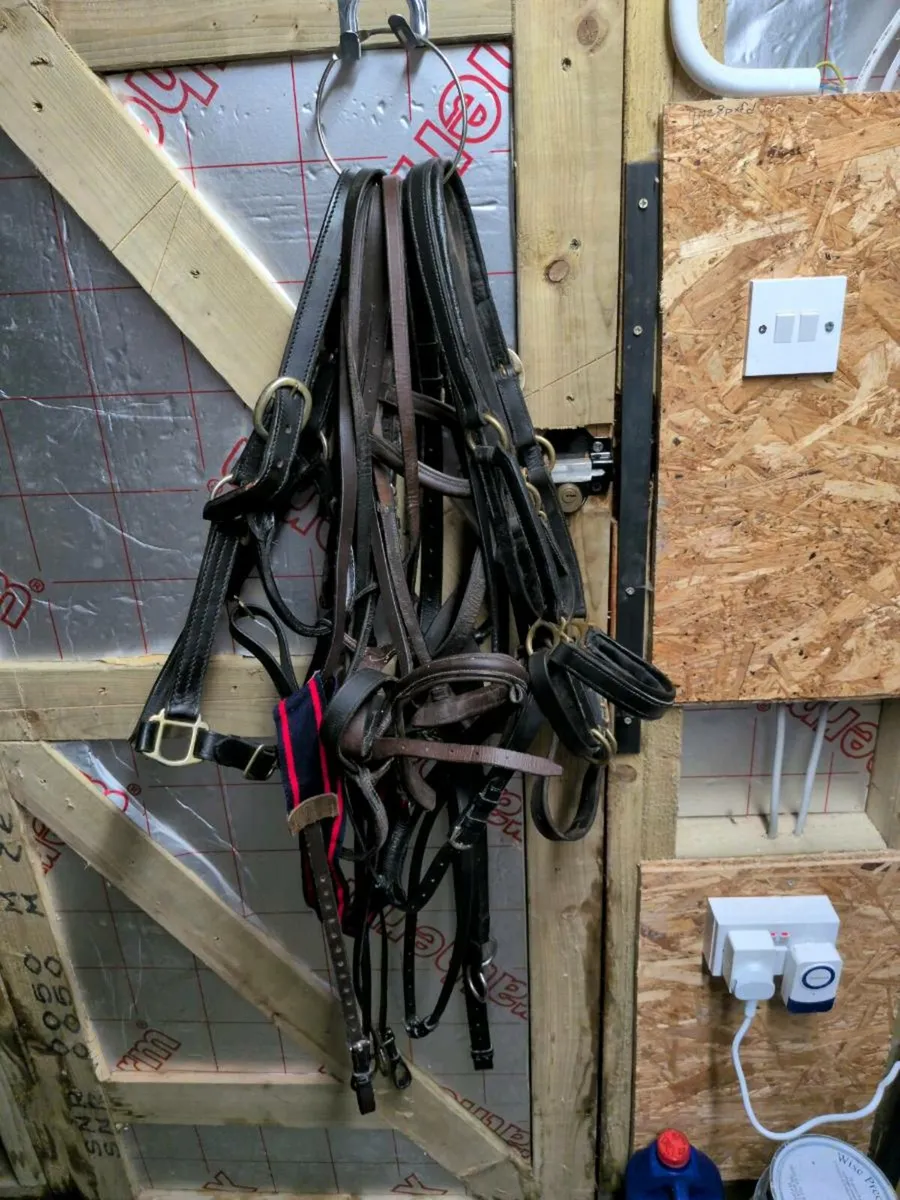 Equestrian complete horse riding set *reduced* - Image 3