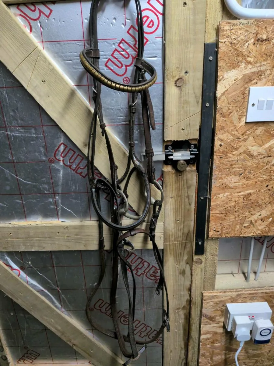 Equestrian complete horse riding set *reduced* - Image 4