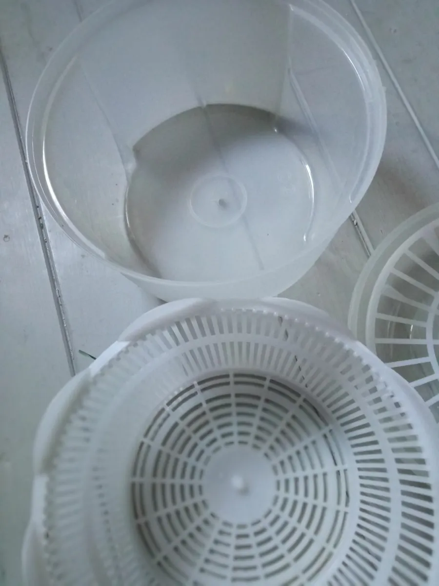 Salad  Spinner - Image 3