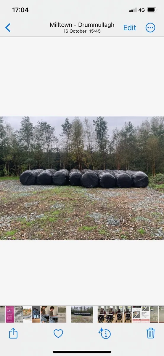 Bales of silage
