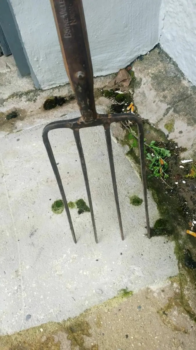 Rare antique Boyne Valley Pike - Image 3