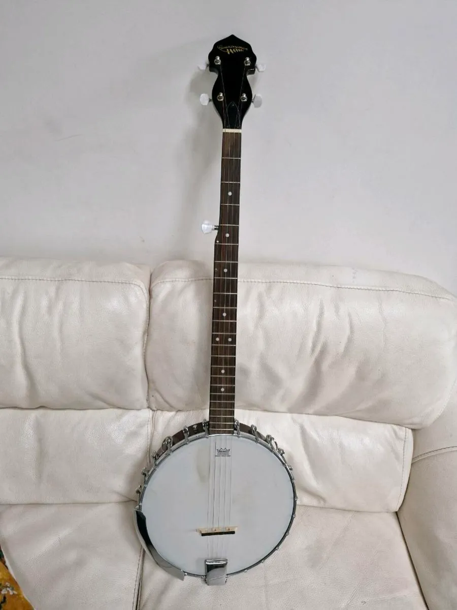 Openback 5 string banjo - Image 2