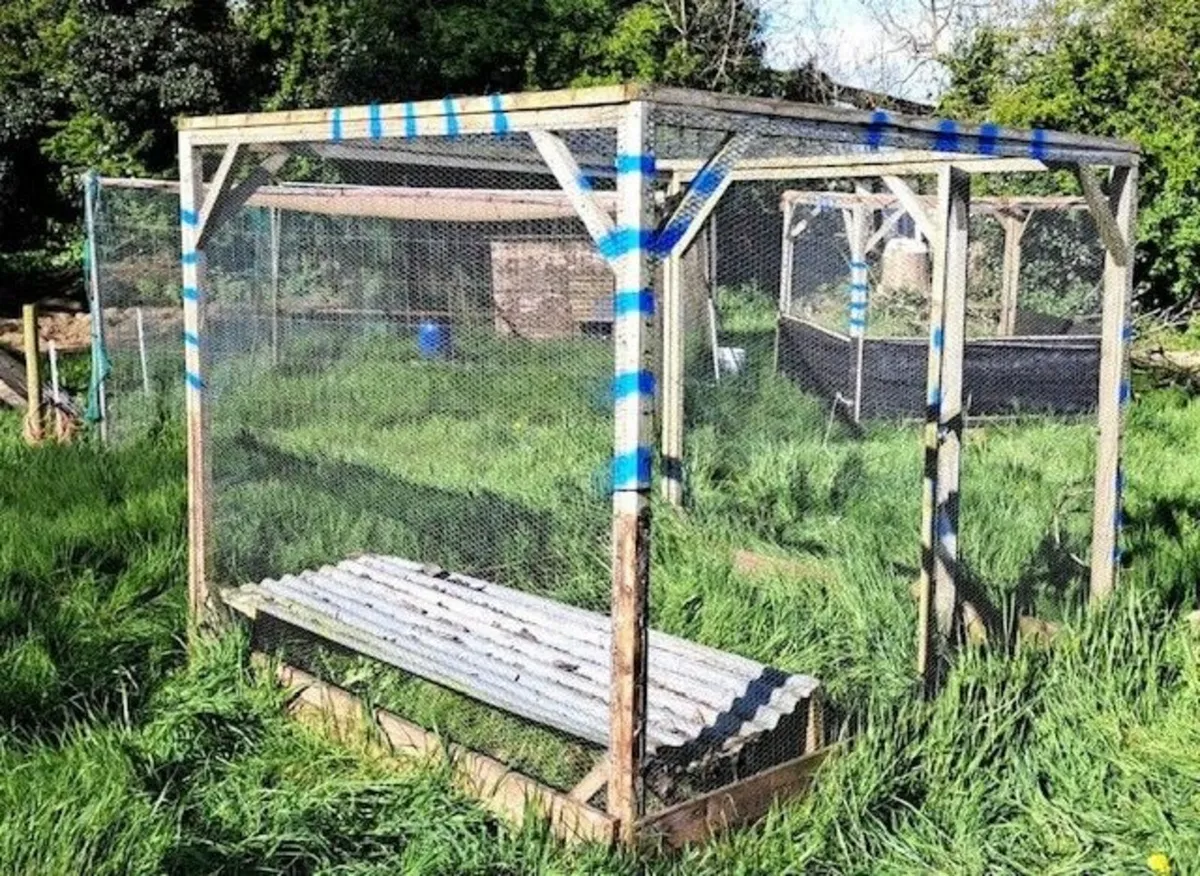 Pens for pheasnats/partridge/chickens - Image 1