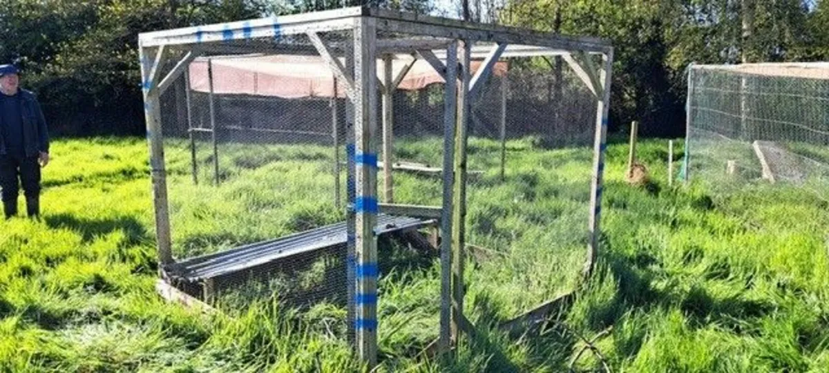 Pens for pheasnats/partridge/chickens - Image 3
