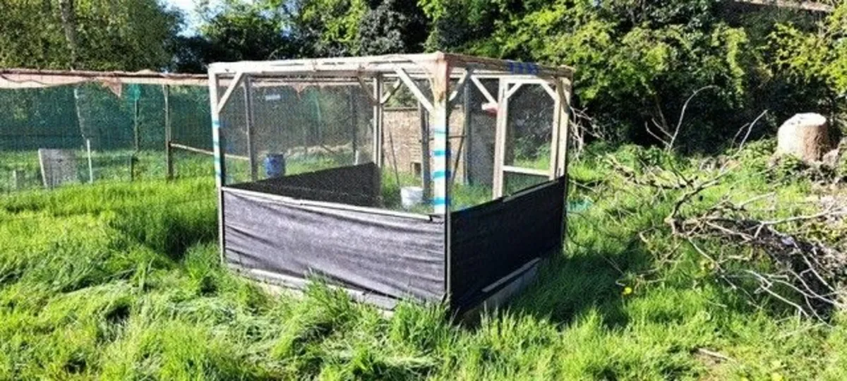 Pens for pheasnats/partridge/chickens - Image 4