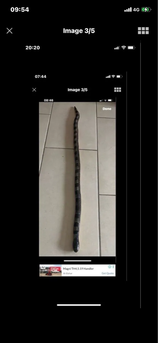 Hand Carved Movement Snake Sculpture - Image 3