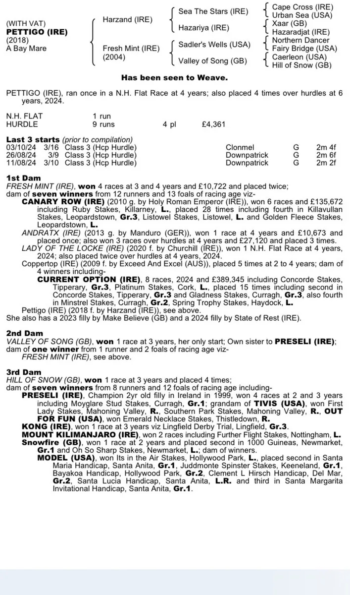 HARZAND Mare - Image 2