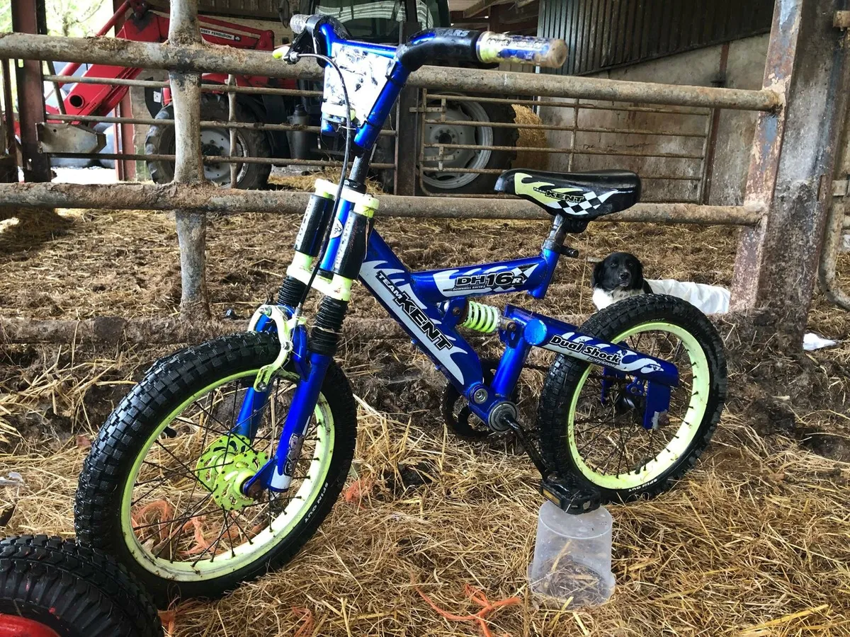 Go-Karts, Bicycles and Toys - Image 2